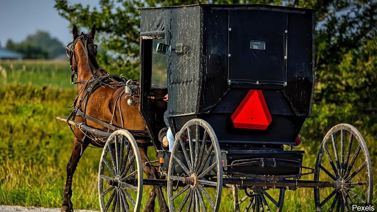 Amish horse-and-buggy